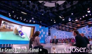 Oscar, le chat martyrisé, interviewé par Antoine de Caunes dans "Le grand journal"