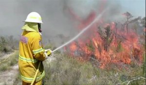 Incendie en Australie: les pompiers craignent une montée des températures