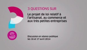 [Questions sur] Le projet de loi relatif à l'artisanat, au commerce et aux très petites entreprises