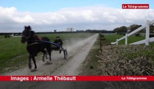 Loudéac. Hippisme : Georges Ollitrault court toujours