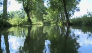 Le Marais poitevin de nouveau Parc naturel régional (Vendée)