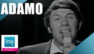 Salvatore Adamo "Notre roman" (live officiel) | Archive INA