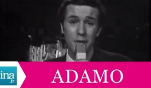 Salvatore Adamo "Tu me reviens" (live officiel) - Archive INA
