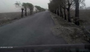 Une dashcam filme un éclair qui tombe sur un arbre (Chine)