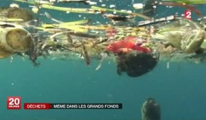 Les déchets jonchent le fond des océans