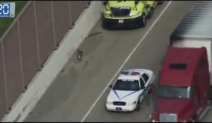 Etats-Unis: Une famille d'oies escortée par la police sur l'autoroute