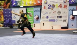 Léo Benouaich - Daoshu Senior optionnel - Championnat d'Europe Wushu 2014