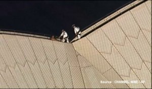 Ivre, il grimpe sur le toit de l'opéra de Sydney