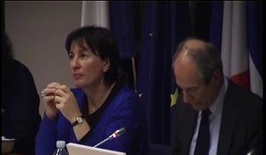 Communication sur l’accès à l’avocat de M. Guy Geoffroy et de Mme Marietta Karamanli  - Mardi 29 Novembre 2011