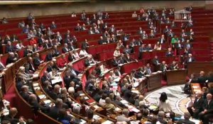 Sylvia Pinel répond à la QAG du député Christophe Caresche