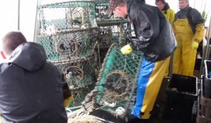 Reportage en mer sur un chalutier de Boulogne-sur-Mer