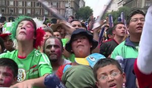 Mondial-2014: cruelle déception pour les supporteurs à Mexico