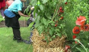 Ce week-end, c'est le 12ème "Rendez-vous aux jardins"