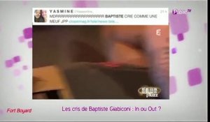 Public Zap : Les cris de terreur de Baptiste Giabiconi dans Fort Boyard : In ou Out ?