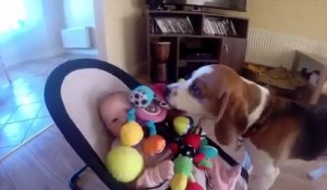 Ce Chien Fait Un Truc Vraiment Trop Mignon Pour Ce Bebe Sur Orange Videos