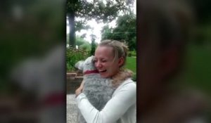 Un chien s’évanouit en revoyant sa maîtresse après deux ans de séparation