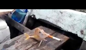 Un poisson fume une cigarette