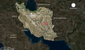 Un avion s'est écrasé en Iran avec 48 personnes à bord