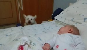This adorable puppy wants to see the newborn so bad