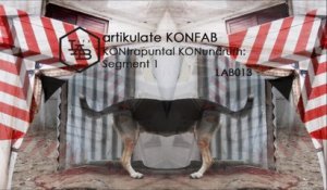 artikulate KONFAB - Spare a Thought Feat. Tebz - Official Video