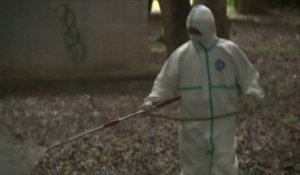 Chasse au moustique après 22 cas de dengue à Tokyo