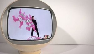 Niki de Saint Phalle : la bande-annonce