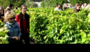 Visite des vignes à Vouvray