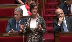 LCP : Marie-Francoise Bechtel: "Que serait devenue la France de Pétain" avec cet amendement ?