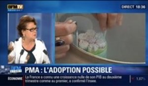 BFM Story: Adoption après une PMA: "C'est un jour de deuil pour l'ensemble de la France" - 23/09