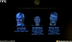 Le Prix Nobel de médecine à 3 chercheurs spécialistes du cerveau