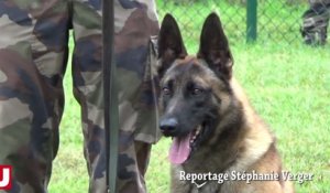 Suippes accueille le concours national du chien militaire