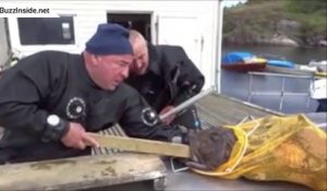 Un pêcheur a une main coincée dans la gueule d'un poisson