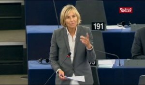 Marielle de Sarnez - Explication de vote - Parlement Européen - 221014