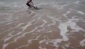Il sauve un requin échoué sur la plage ! Quel courage !