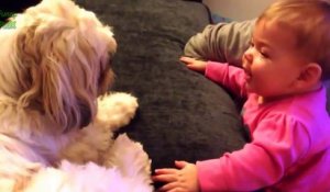 Des bébés trop mignons parlent à des chiens : Compilation 2014