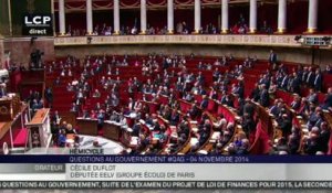 Remi Fraisse : Cecile Duflot tente d'imposer une minute de silence à l'Assemblée Nationale