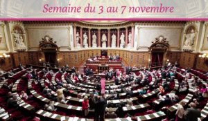 Sénat.Hebdo, du 3 au 7 novembre 2014