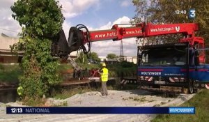 Des communes se dressent contre l'abattage des platanes malades le long du canal du Midi