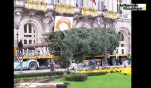 VIDEO. Tours : Le sapin de Noël est arrivé !