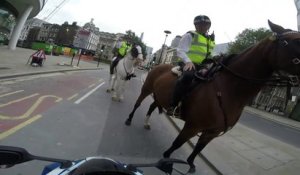 Un motard se fait arrêter par la police montée à Londres