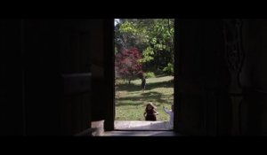 Angel Olsen - Windows (Official Video)