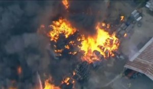 Gigantesque incendie à Sydney, en pleine canicule