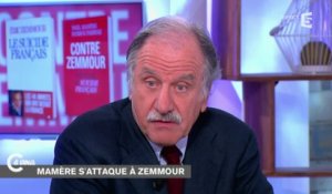 Noël Mamère contre Eric Zemmour, par livre interposé - C à vous - 25/11/2014