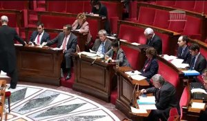 PROJET DE LOI DE FINANCEMENT DE LA SÉCURITÉ SOCIALE POUR 2015 (lecture définitive) - Lundi 1 Décembre 2014