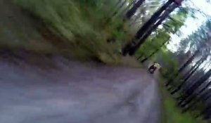 Un cycliste poursuivi par un ours dans la forêt