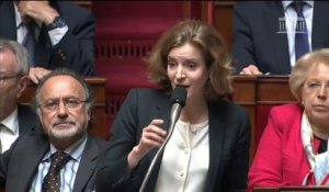 Nathalie Kosciusko-Morizet - Politique gouvernementale