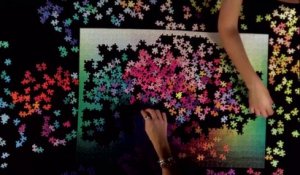 Puzzle de 1000 pièces/1000 couleurs - TimeLapse magique!