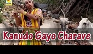 Shree Krishna New Bhajan | Kanudo Gayo Charave Gokul Me | Rajasthani Latest Bhajan