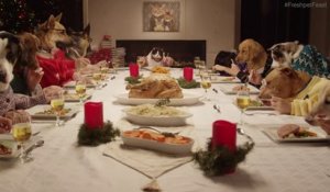 Un repas de Noel avec 13 chiens et 1 chat