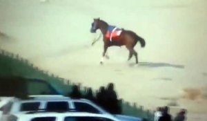 Un cheval panique durant une course